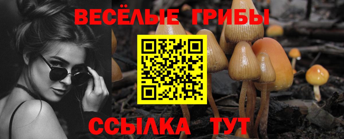 Галлюциногенные грибы мухоморы Видное